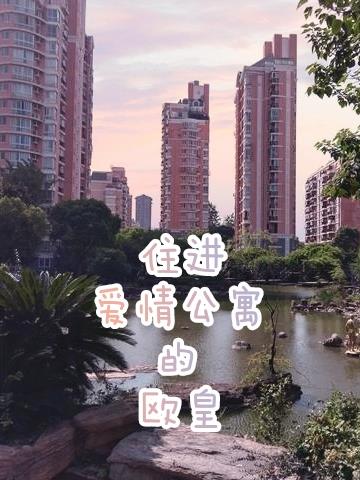 爱情公寓住的房间